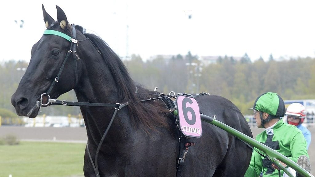 Univers de Pan Vermo