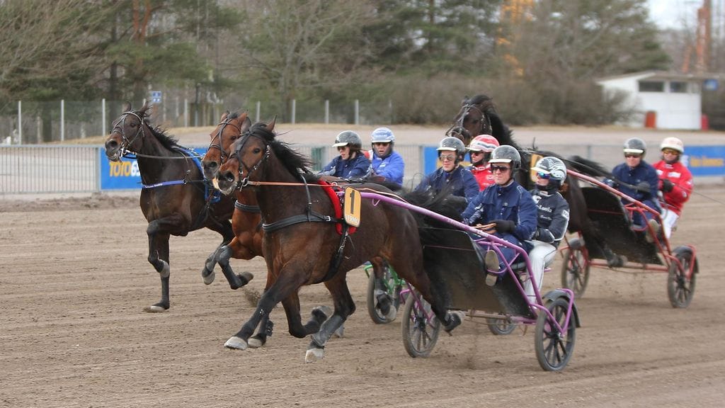 Jääkiekkoilijat ohjastamassa ravihevosia.