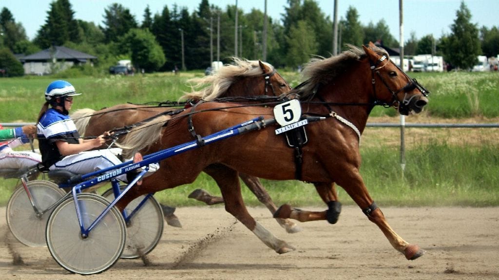 Anu Penttilä lähtee Salamakypärät-kilpailuun 88 startin ja viiden voiton ajokokemuksella.