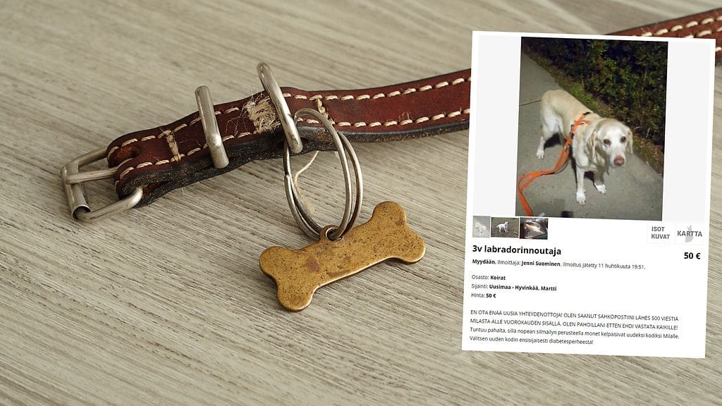 Tori.fi:ssä julkaistu myynti-ilmoitus on koskettanut monia. Kuvakaappaus tori.fi.