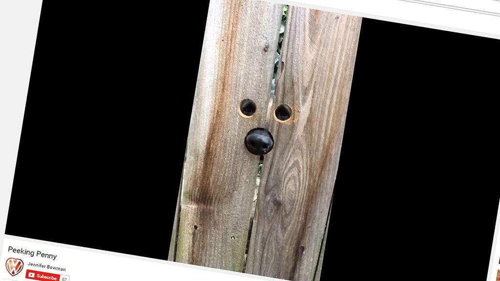 Kuvan lähde YouTube.