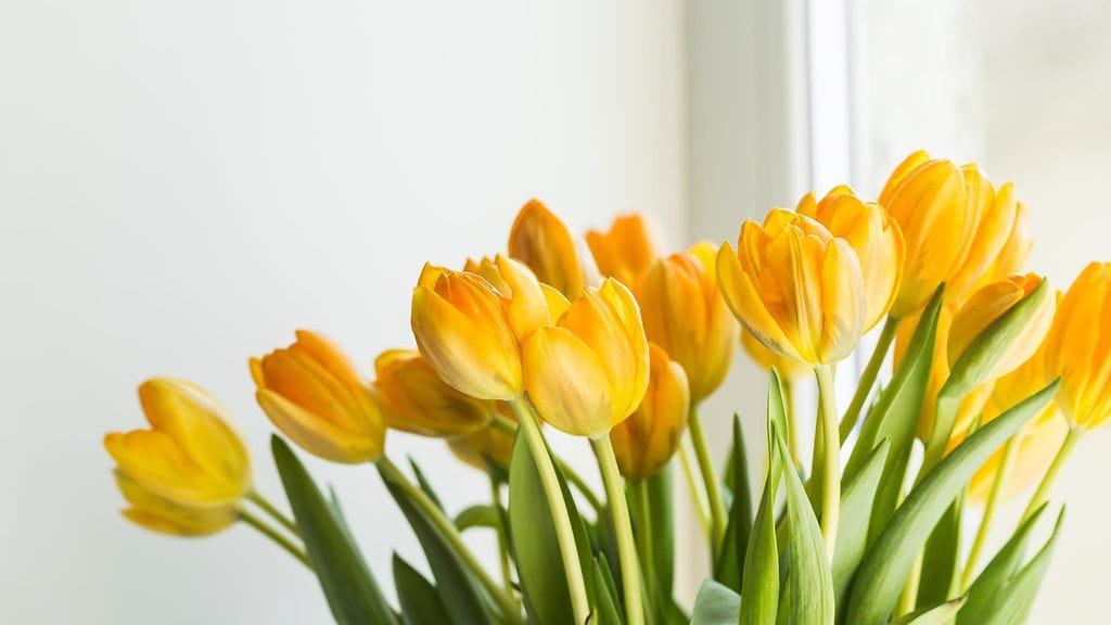 Leikkokukat piristävät sisustusta hetkessä!