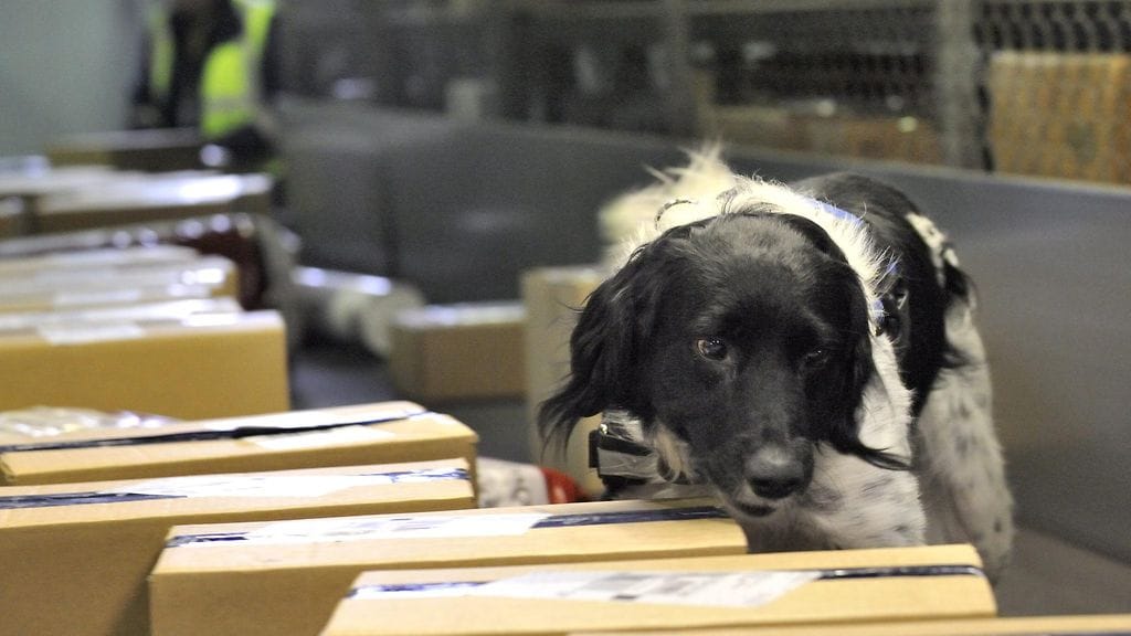 Viime vuonna Tulli pysäytti reilu 4000 luvatonta lääkelähetystä. Tapauksista noin 850 katsottiin lääkerikoksiksi tai lääkerikkomuksiksi.