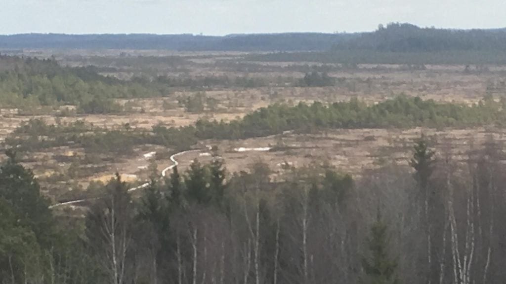 Torronsuo, kansallispuisto, ilmakuva