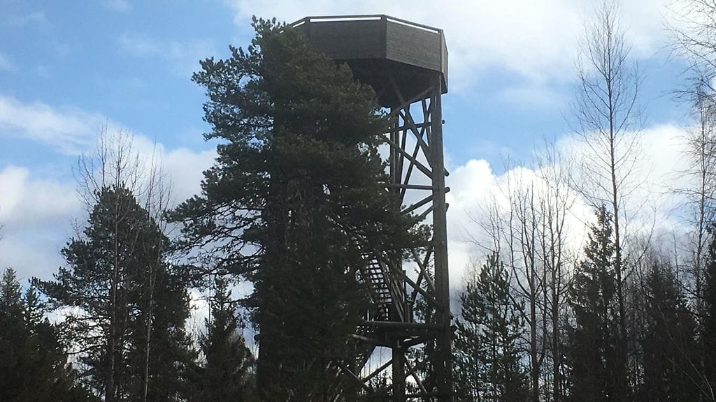 Torronsuo, kansallispuisto, lintutorni