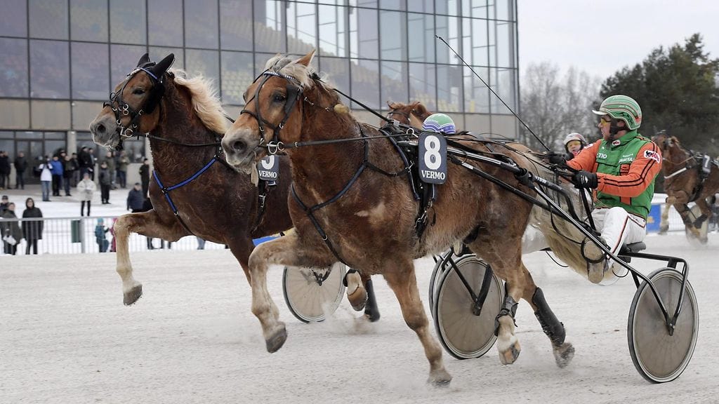 Polara ja ohjastaja Antti Tupamäki (arkistokuva).