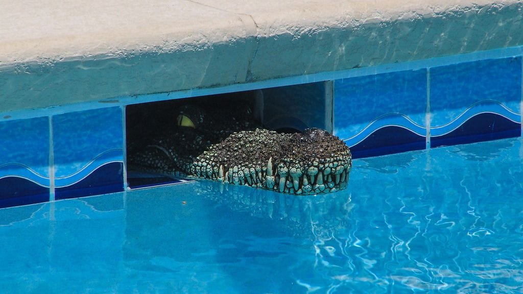 Kuvituskuva ei liity oikeisiin tapahtumiin.