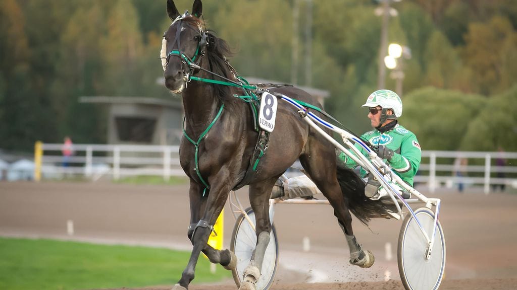 Finest Chocolate starttaa tänään kuningasmatkallaan.
