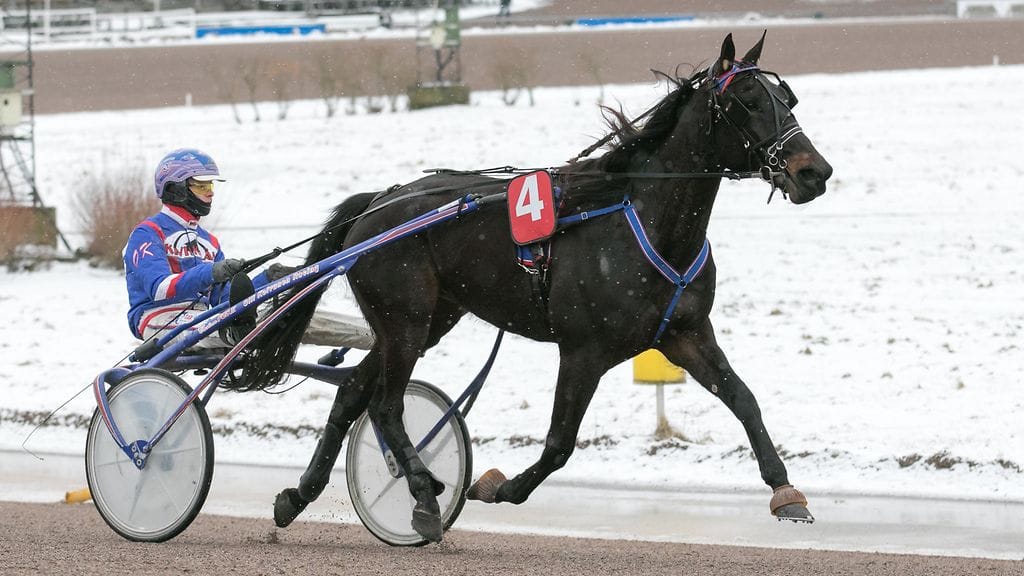 Jeppas Pointer ja Olli Koivunen