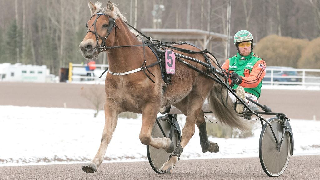 Upean talvikauden kotimaassa juossutta Polaraa odottavat nyt kansainväliset koitokset.