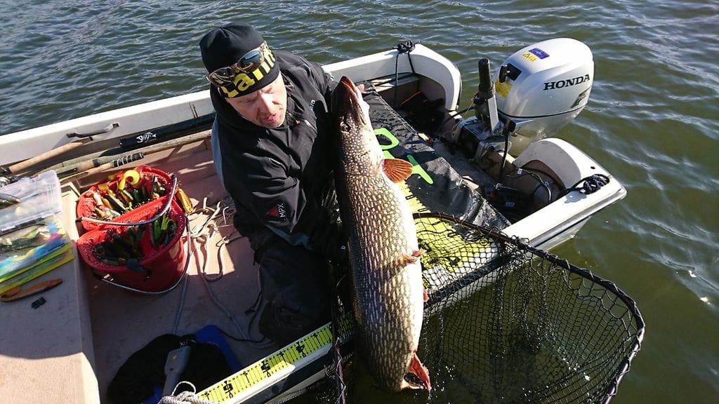 Paasonen on kalastanut haukea pikkupojasta lähtien.
Kuva: Christian Paasonen