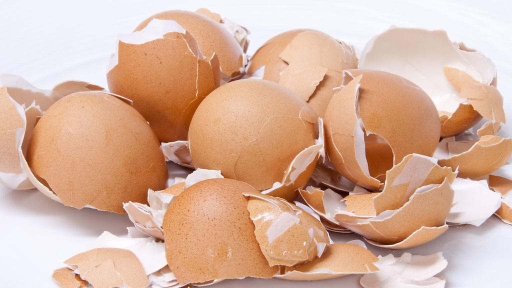 Kananmunankuorista saa runsaasti kalsiumia.