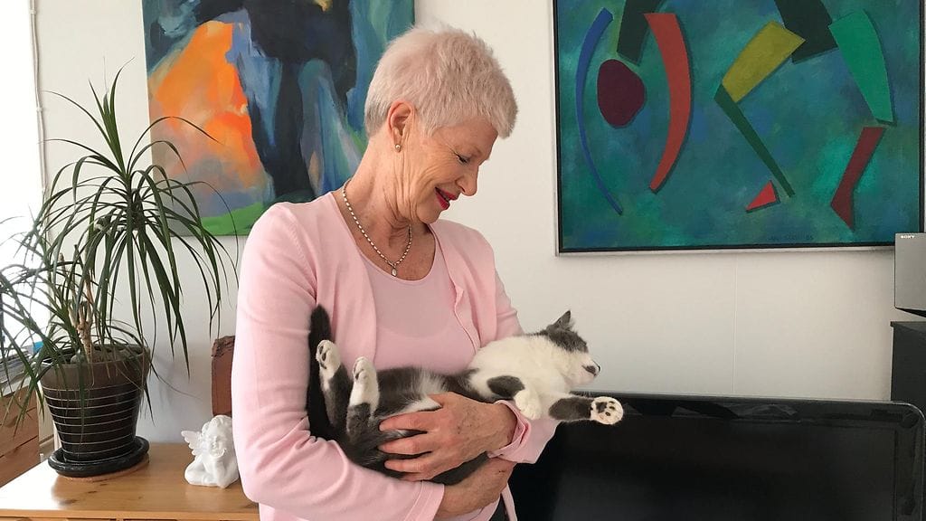 Tutteli ja Viltsu kissa