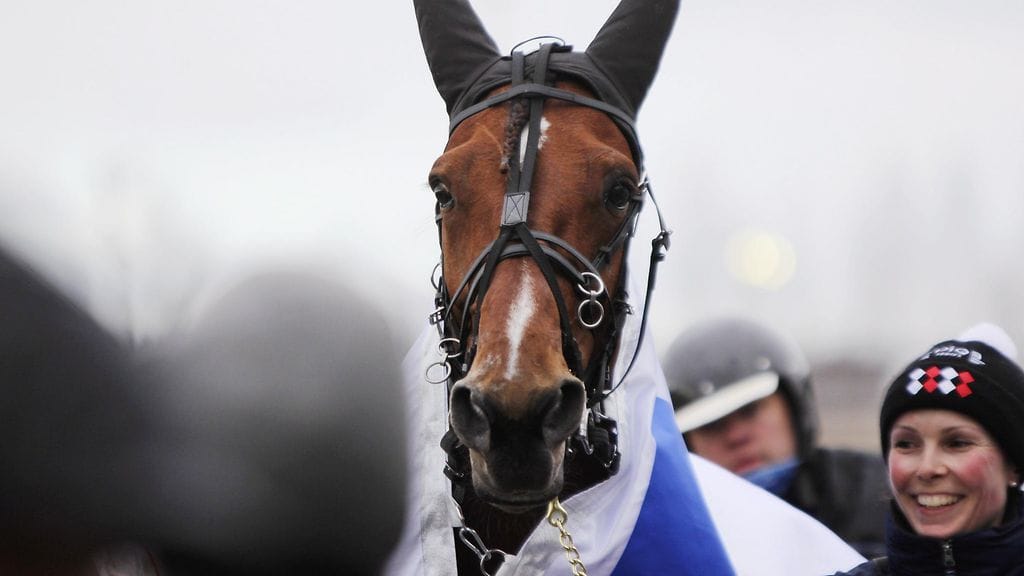 Italialaisravuri Twister Bi Toto76-raveissa Seinäjoella