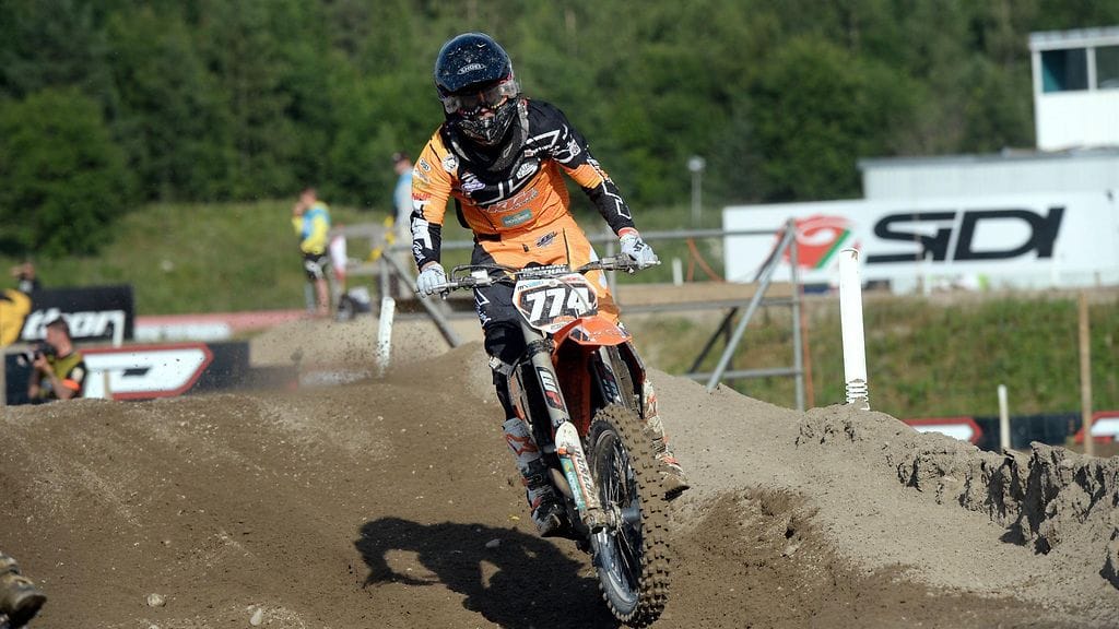 Kuvituskuva Sihvosesta vuodelta 2017.