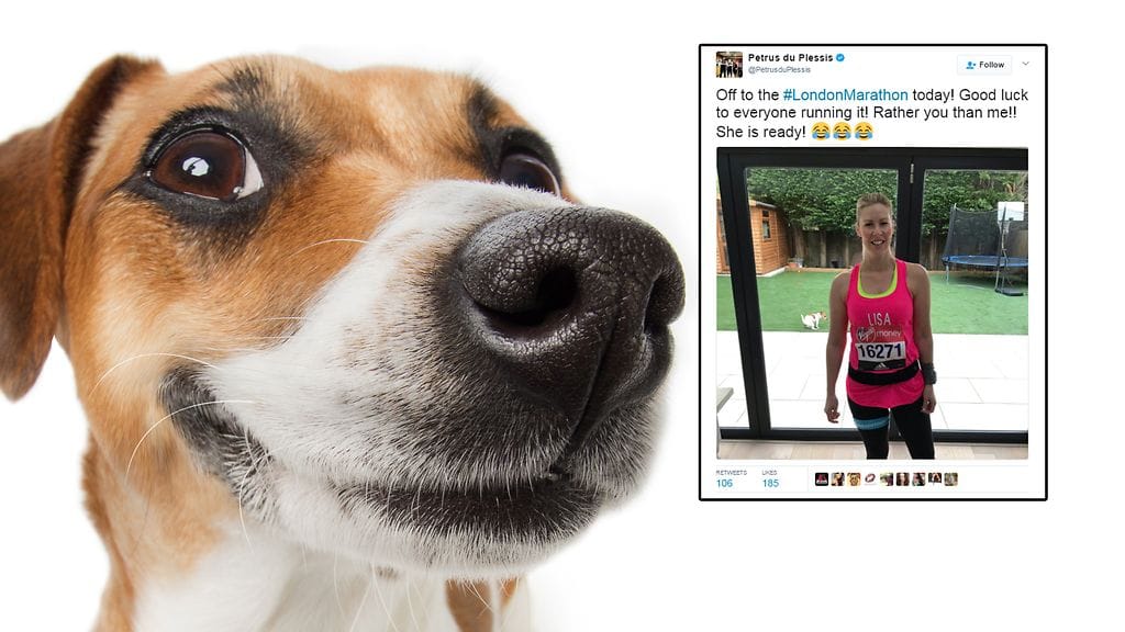 Kuvituskuva Shutterstock, toisen kuvan lähde Twitter.