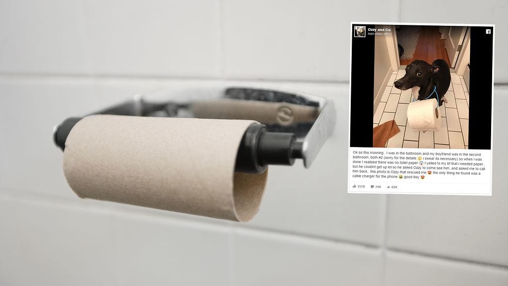 Tottelevainen koira pelasti omistajansa ikävältä kohtalolta.