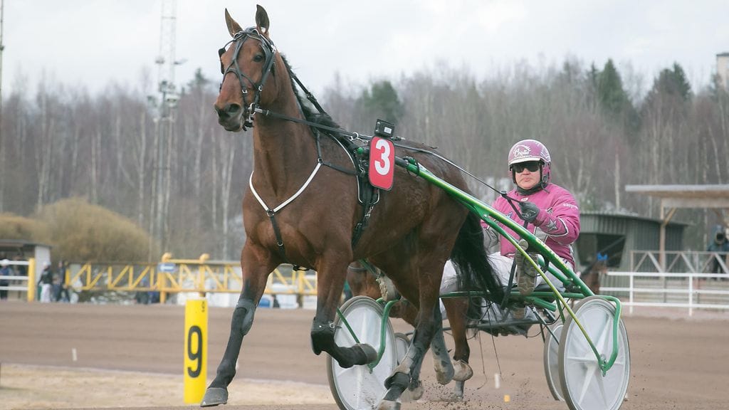 Burnhill's Luck lähtee tänään metsästämään toista perättäistä voittoa.