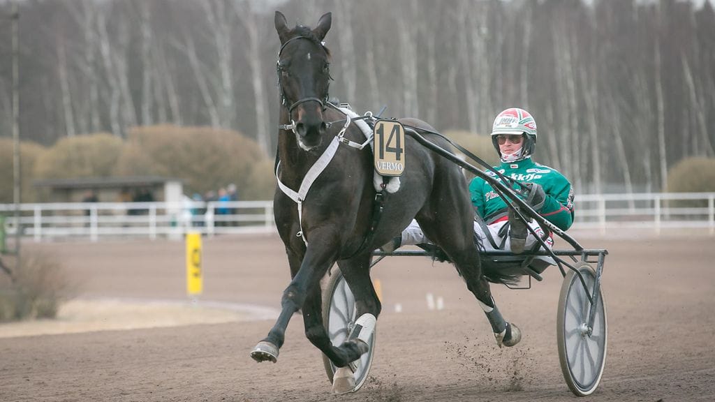 Landers Powerin loukkaantunut jalka on kestänyt ensimmäiset kahdeksan starttia ongelmitta, ja hevonen parantaa startti startilta.
