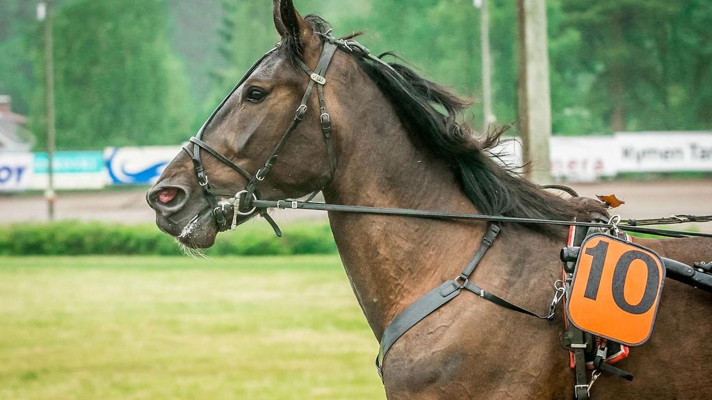Wheelie Awake lähtee vauhdilla 20 metrin takamatkalta jahtaamaan kärkeä.