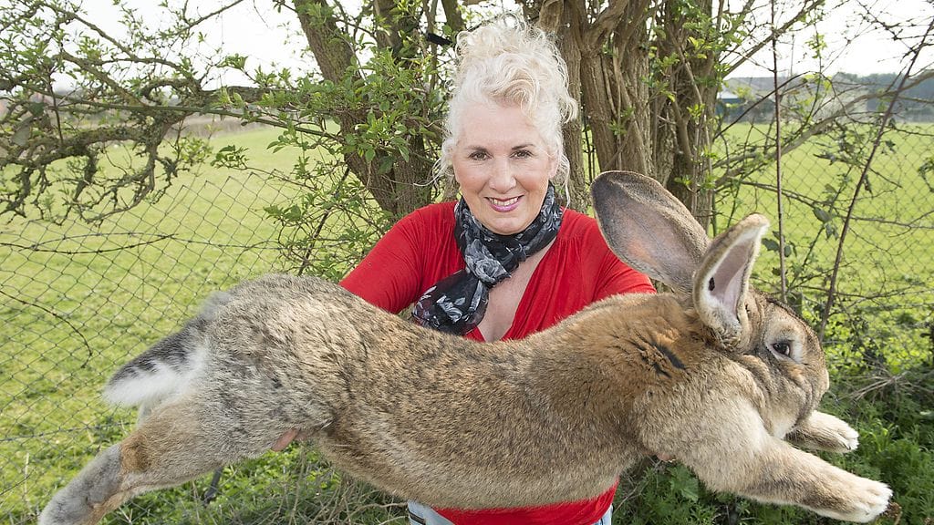 Annette Edwards jättikani Dariuksen kanssa. Lennolla kuollut Simon-kani oli Dariuksen jälkeläinen.