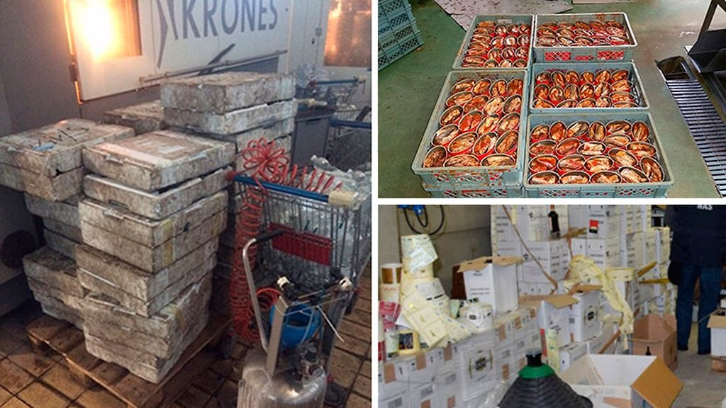 Tutkituissa erissä oli esimerkiksi paljon virheellisiä tuoteselosteita.