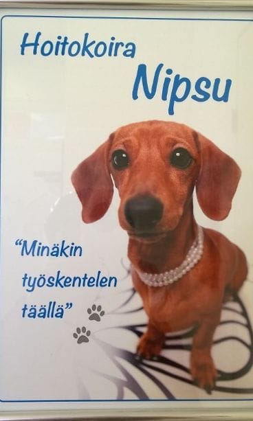 Nipsun kuva seinällä