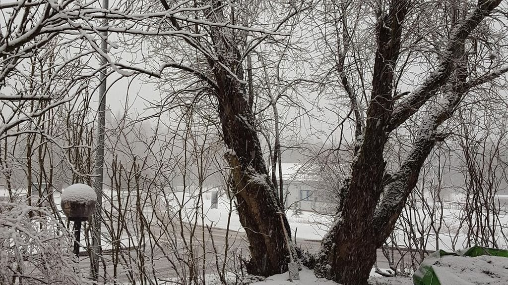 Helsinki-charlotta hilden