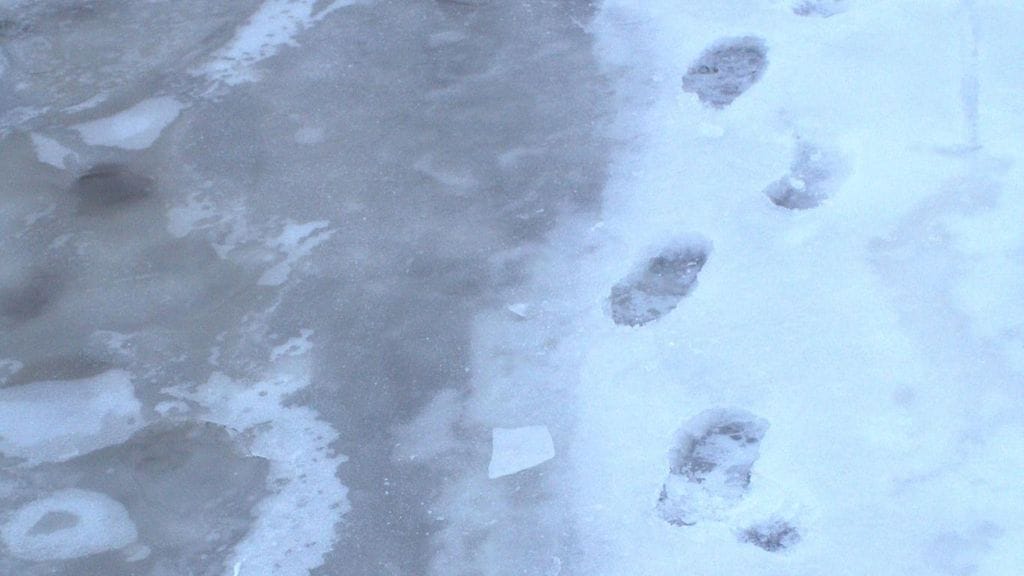 Kuvituskuvassa jalanjälkiä jäällä.