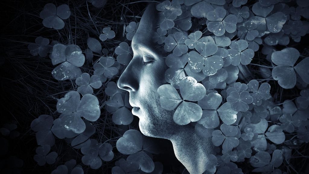 Déjà reve on déjà vun kaltainen tunne, mutta sillä viitataan unimaailmaan. Sanapari tarkoittaa suunnilleen "jo uneksittua".