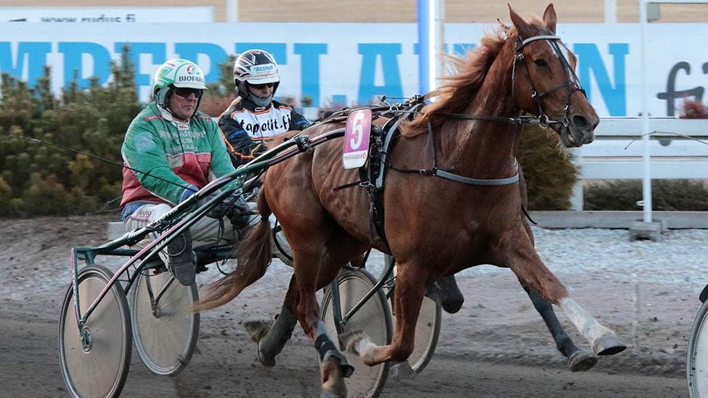 Markku Hietasen ylpeys Tapon Westwood upotti loputkin toiveet täysosumista Toto5-pelin päätöskohteessa.