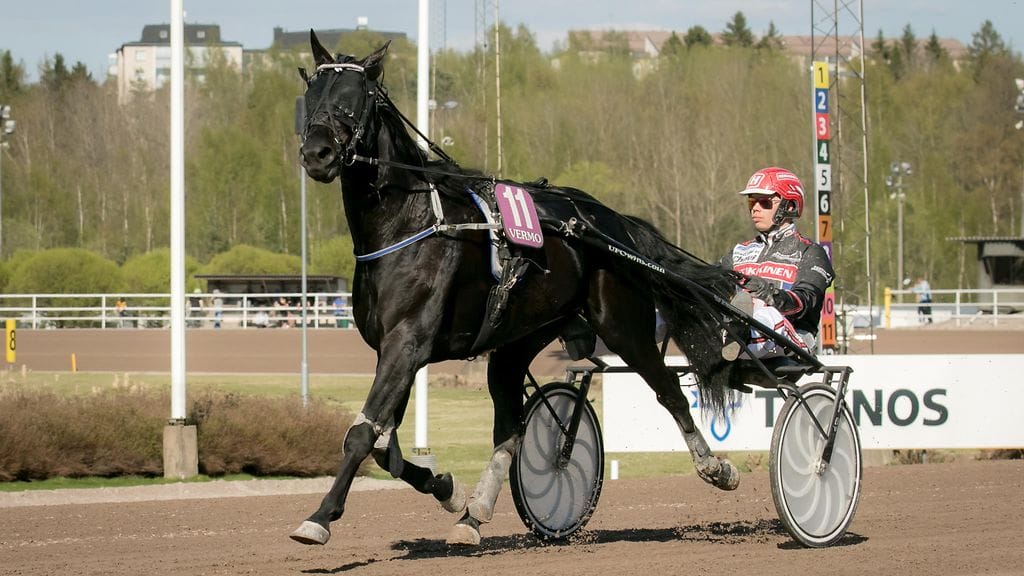 Special Promise lähtee matkaan parhaimmalta mahdolliselta lähtöpaikalta.