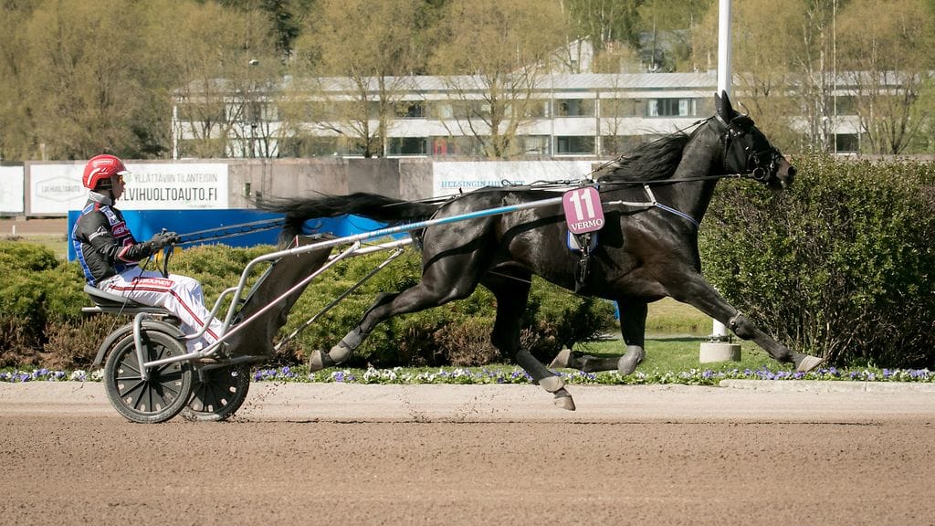 Special Promise on yksi Santtu Raitalan huomisen luottoajokeista.