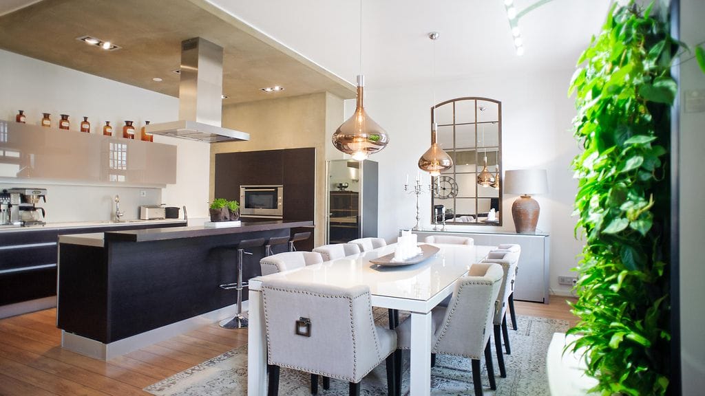 Viherkasveista voidaan saada paljon hyötyjä myös kodin sisäilman puhdistamiseen.