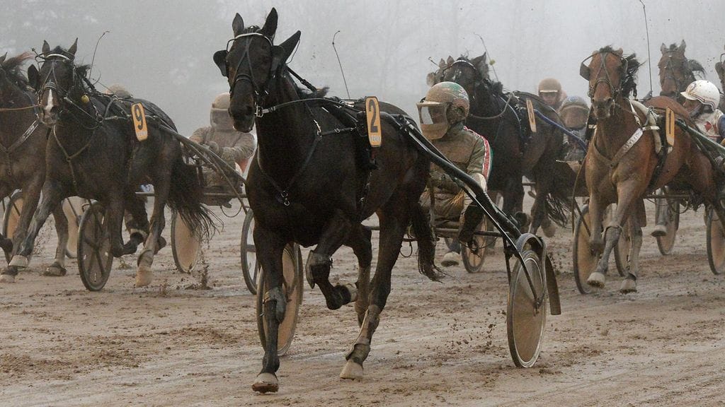 Seabiscuit ja Jukka Torvinen