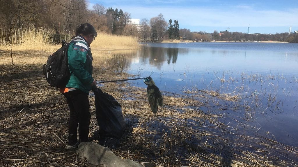 Töölönlahden rannoilta löytyi paljon muoviroskaa.