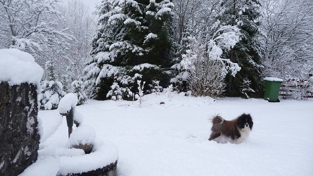 Lunta Noormarkussa 8.5.2017.