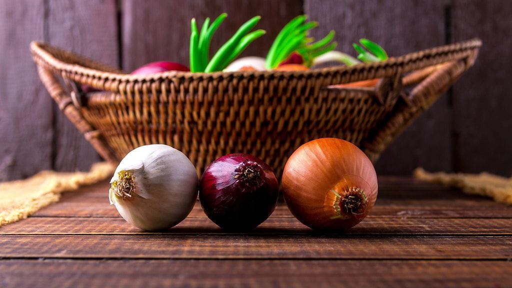 Kuvituskuva. Eri sipulit soveltuvat eri ruokiin.