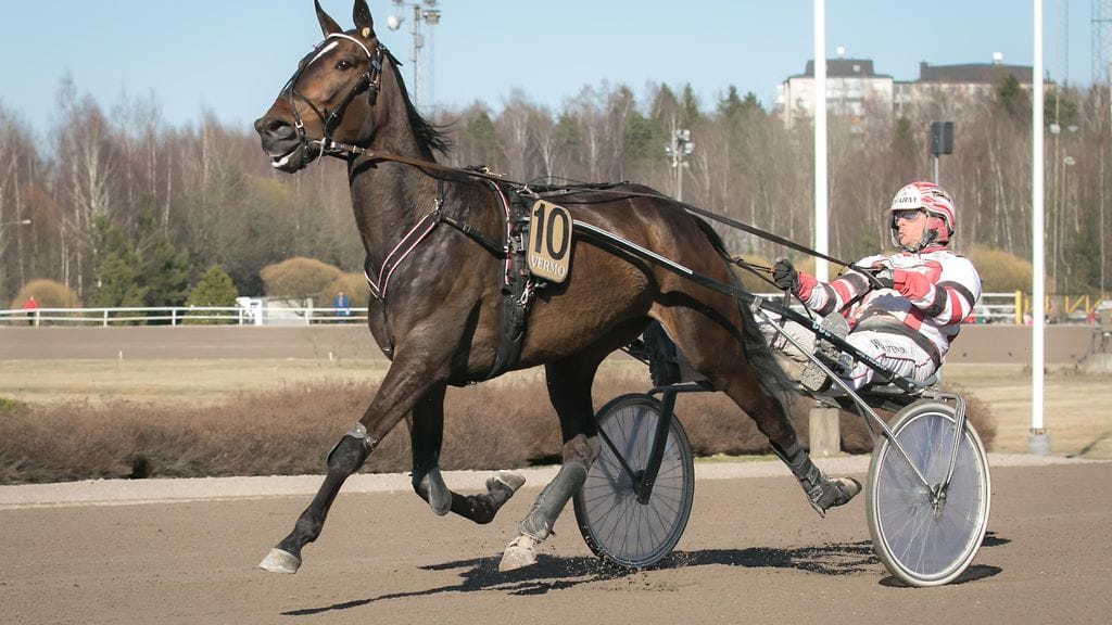 Tapio Perttunen oli tyytyväinen Bid On Kempin kauden avausstarttiin, vaikka sijoitukseksi jäi seitsemäs.