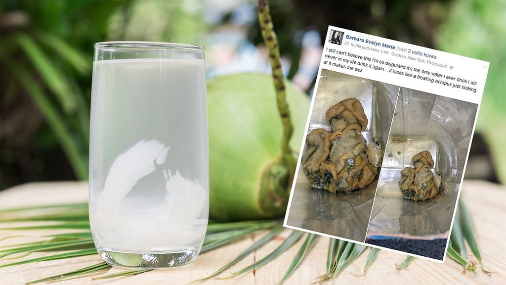 Kookosvesipullosta löytyi karmaiseva yllätys.