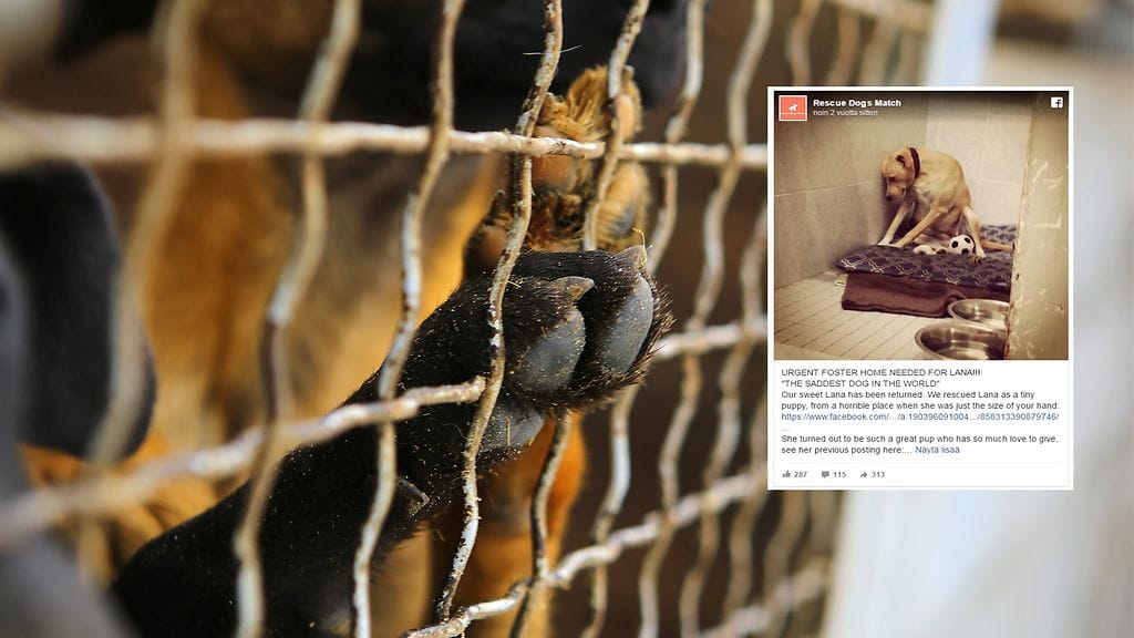 Lanan ei tarvitse olla enää surullinen.