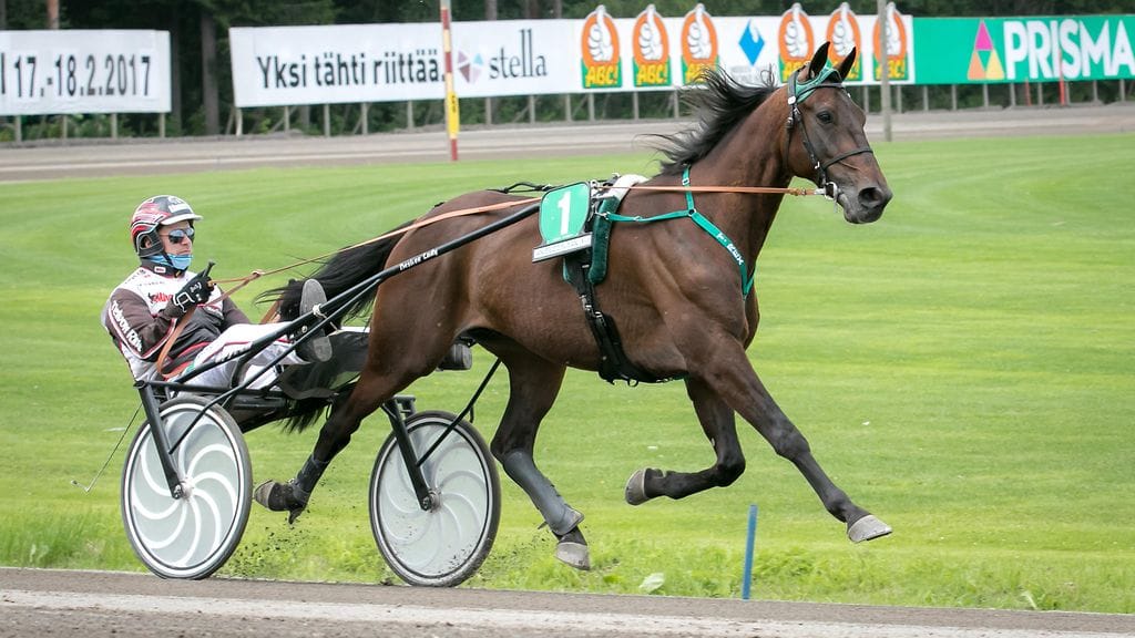 T.Rex joutui jäämään pois Ruotsin V75-kierrokselta.