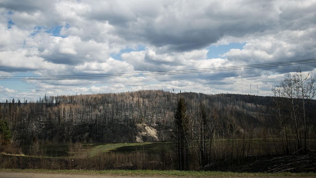 Fossiili löytyi Fort McMurraysta, Albertasta Kanadasta vuonna 2011. Kuva toukokuulta 2016, jolloin alueella riehui laajat metsäpalot.