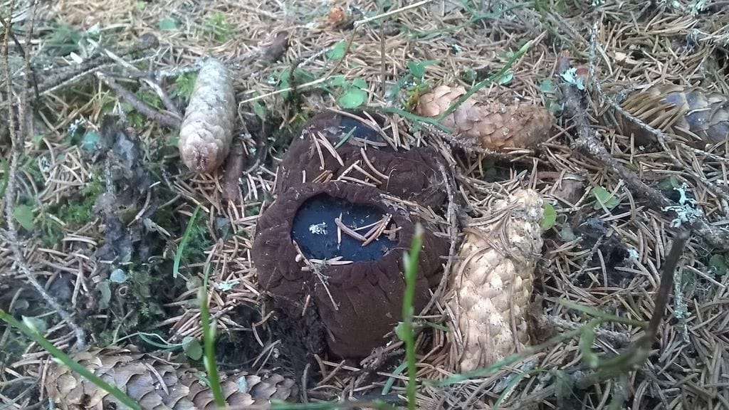 Kuvaaja: Alexandra Tyukina