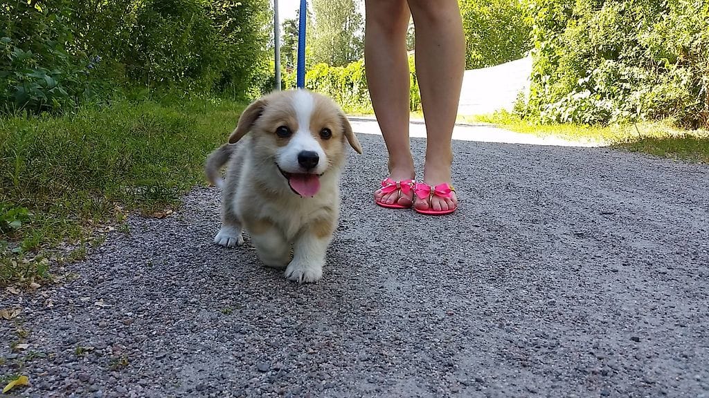 10457370_829499627069837_728215512657317254_o