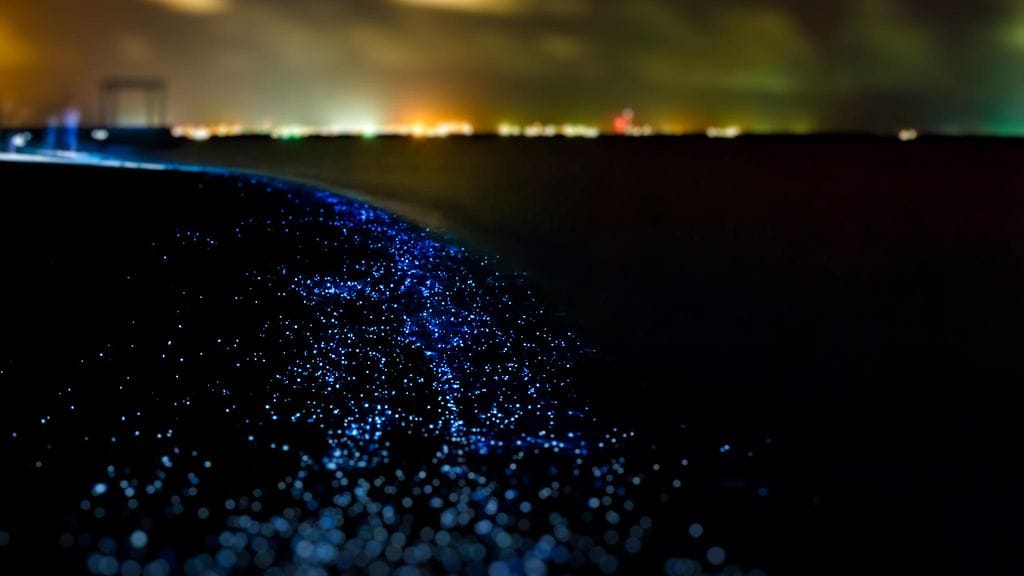 shutterstock_226584787