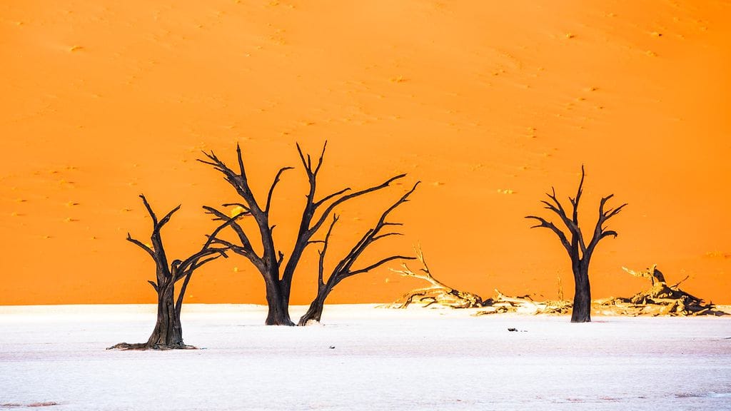 shutterstock_640316773