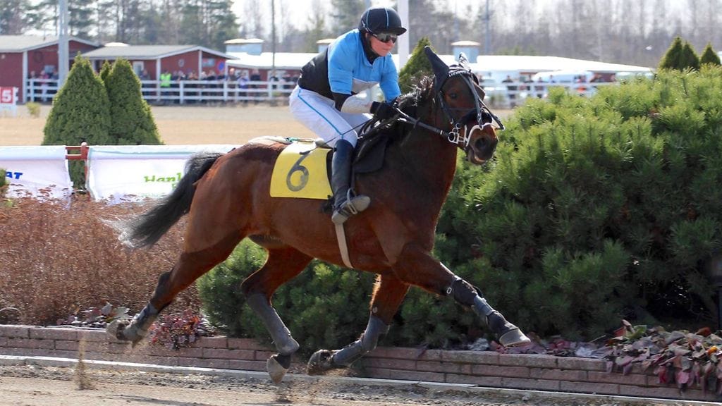 Licence Holder ja Jenni Kaija