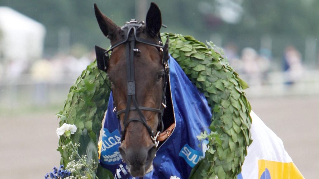 Target Hoss Suur-Hollola