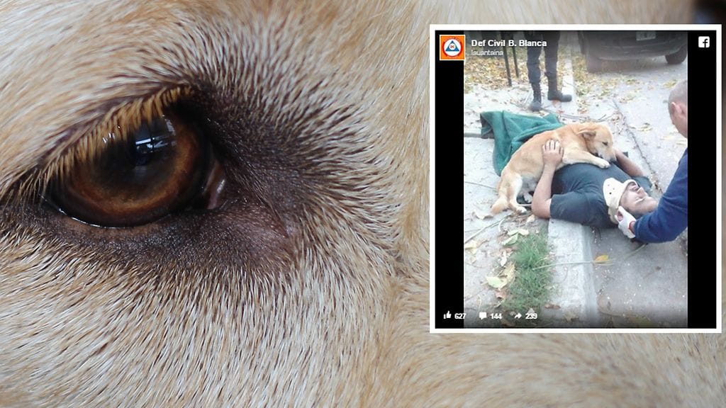 Kuvituskuva Shutterstock, toisen kuvan lähde Facebook.